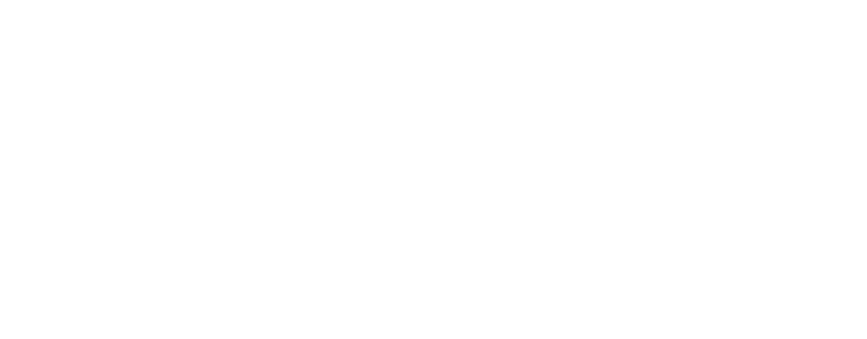 Portrait Atelier